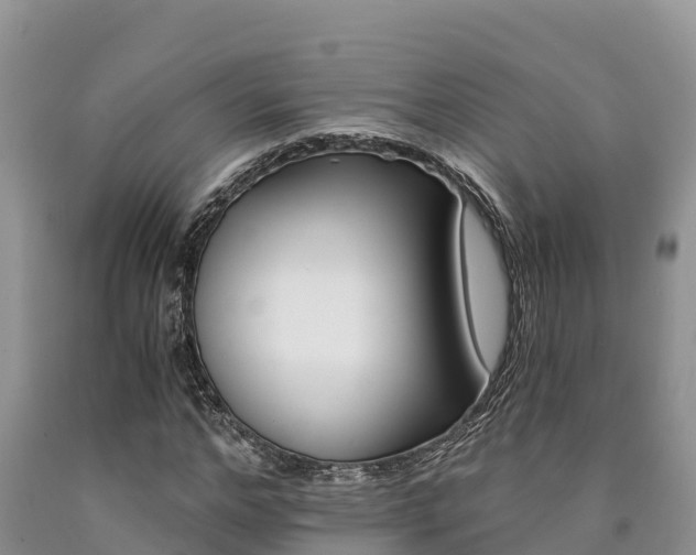 X0000090780968200707201131
