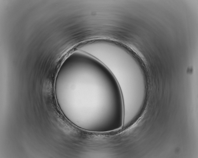 X0000090780969200707201131