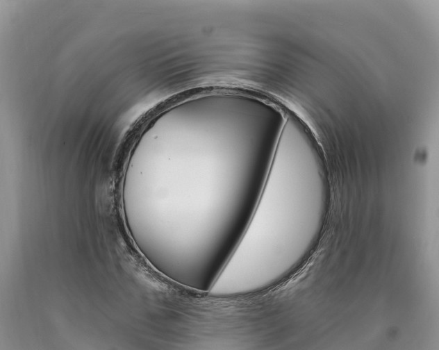 X0000090780971200707201131