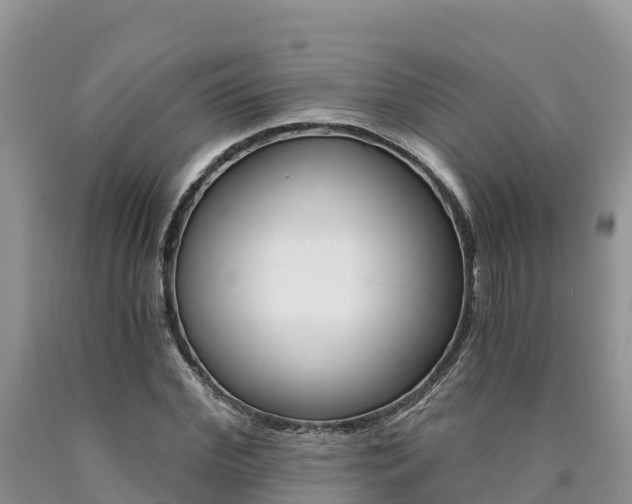 X0000090780972200707201131