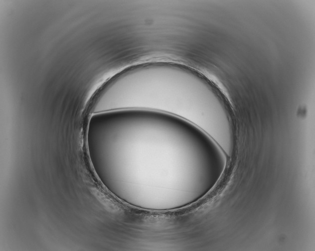 X0000090780973200707201131