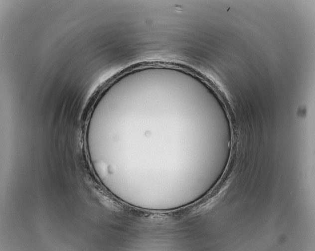 X0000090780974200707201131