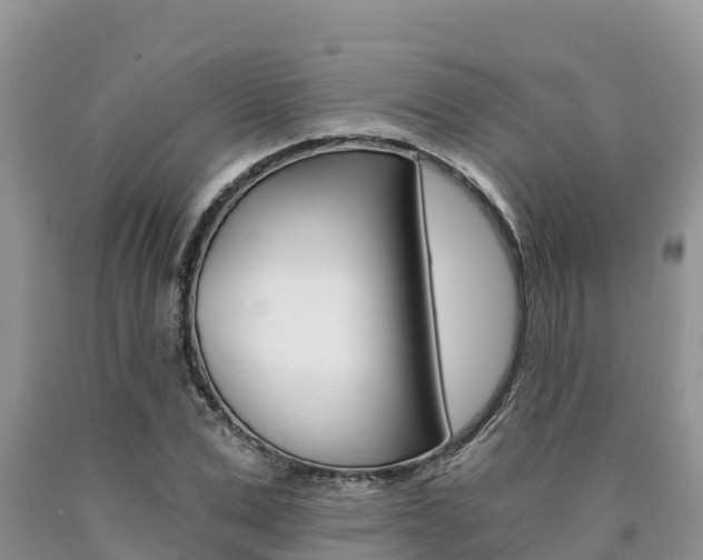 X0000090780975200707201131