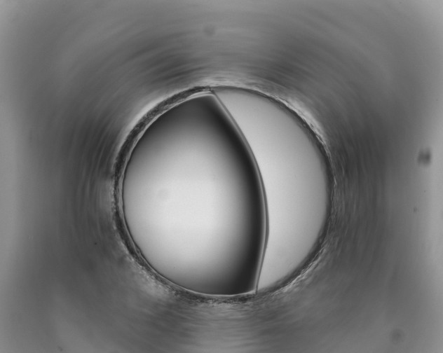 X0000090780976200707201131