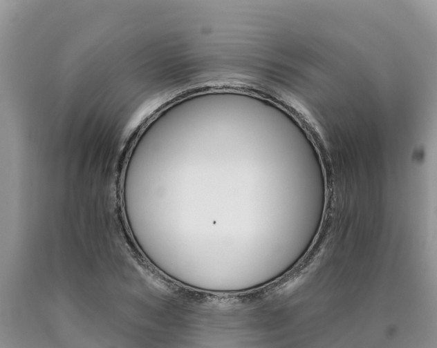 X0000090780978200707201131