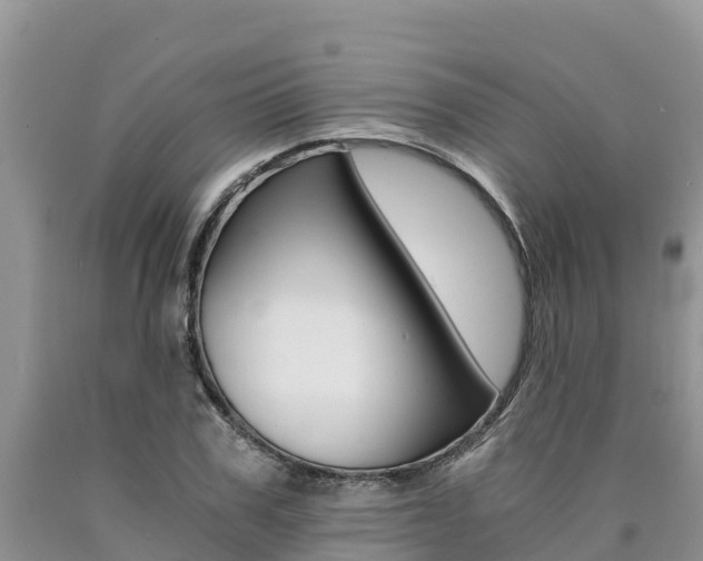 X0000090780979200707201131