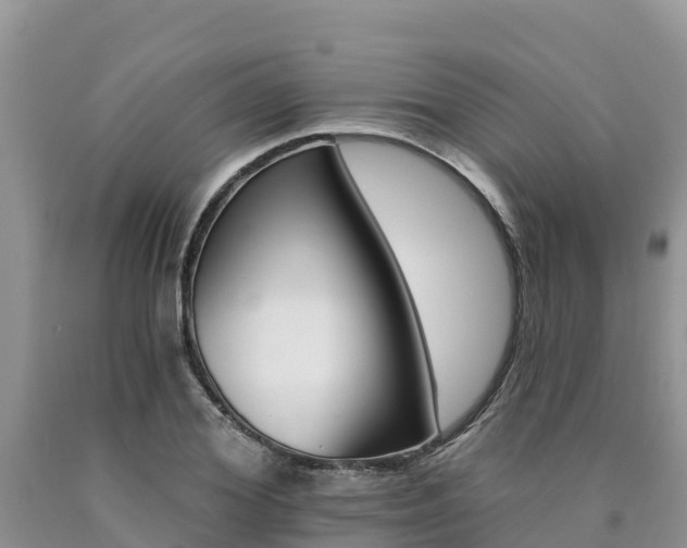 X0000090780980200707201131