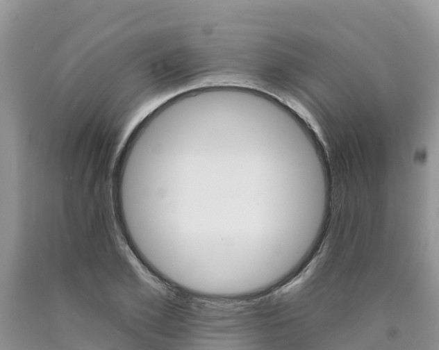 X0000090780981200707201131