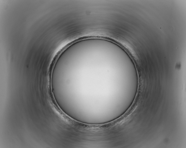 X0000090780982200707201131