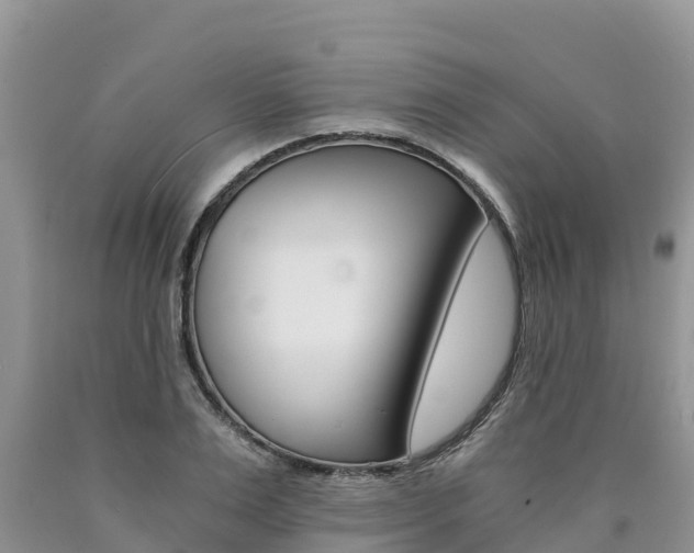 X0000090780983200707201131