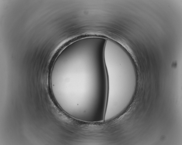 X0000090780984200707201131