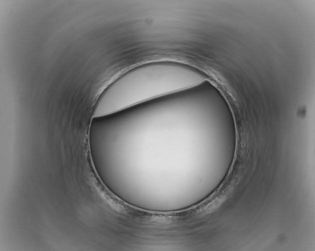 X0000090780985200707201131