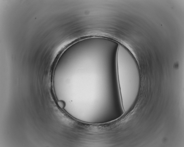 X0000090780987200707201131