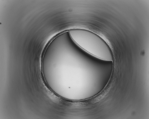 X0000090780988200707201131