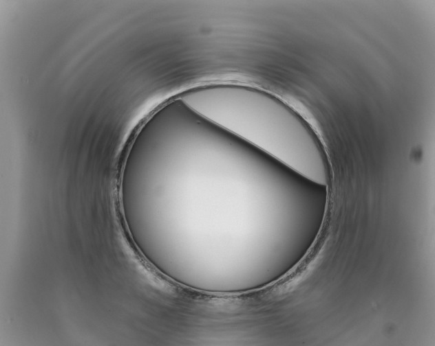 X0000090780989200707201131