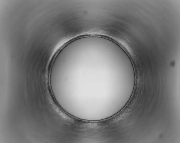 X0000090780990200707201131