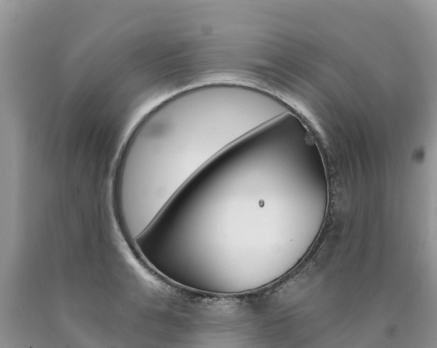 X0000090780991200707201131