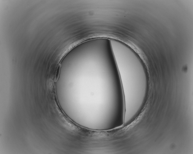 X0000090780993200707201131