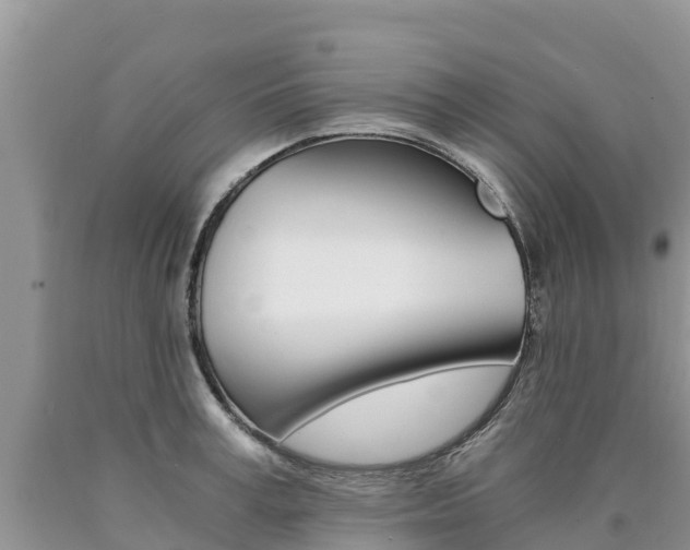 X0000090780995200707201131