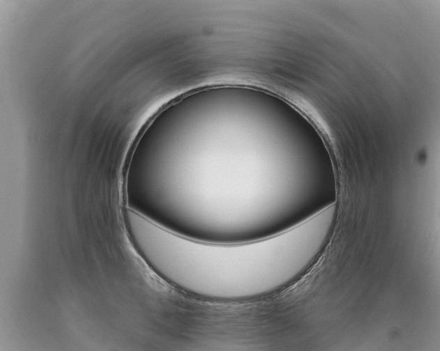 X0000090780996200707201131