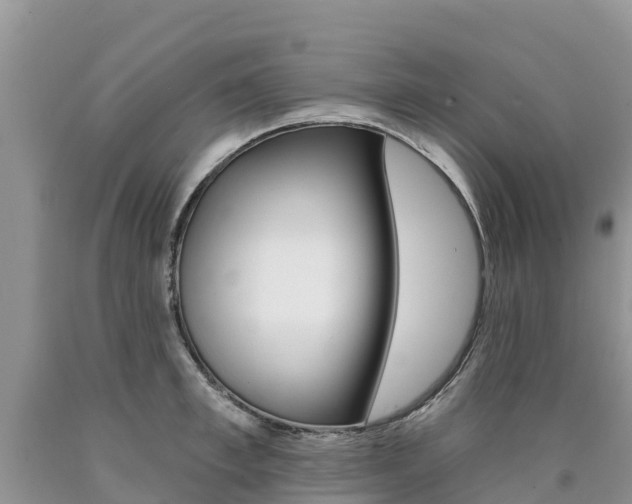 X0000090780997200707201131