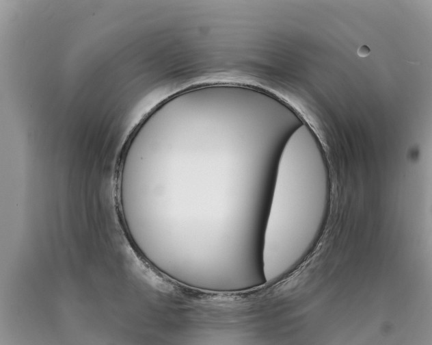 X0000090780998200707201131