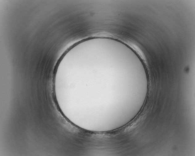 X0000090781000200707201131