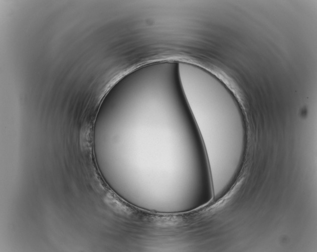 X0000090781001200707201131