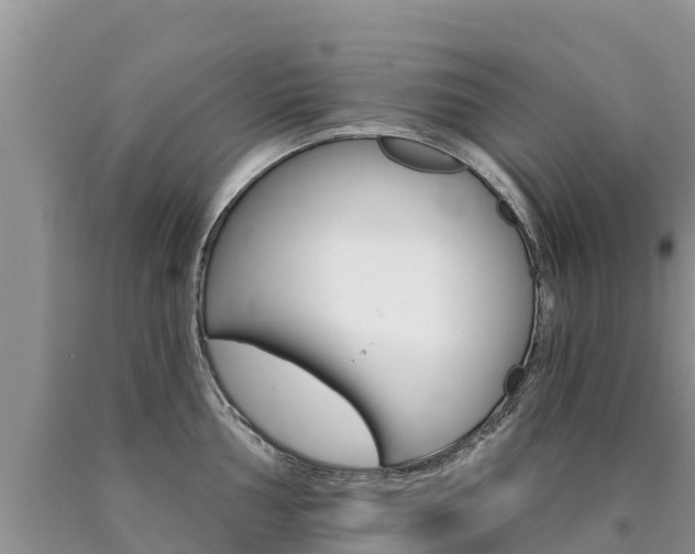 X0000090781002200707201131