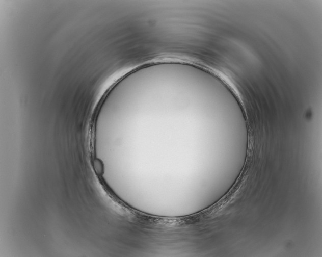 X0000090781003200707201131