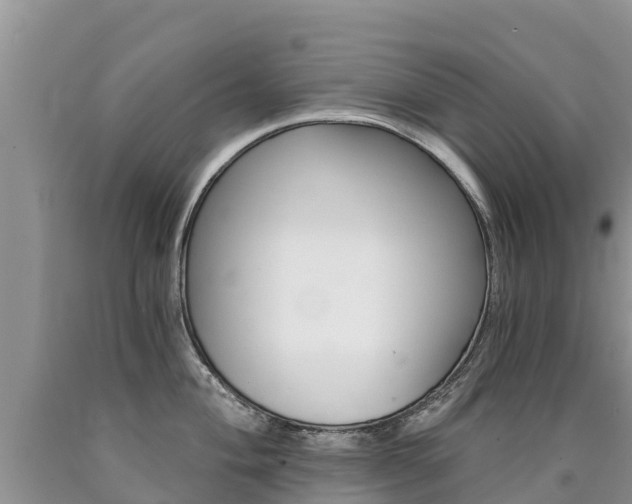 X0000090781004200707201131