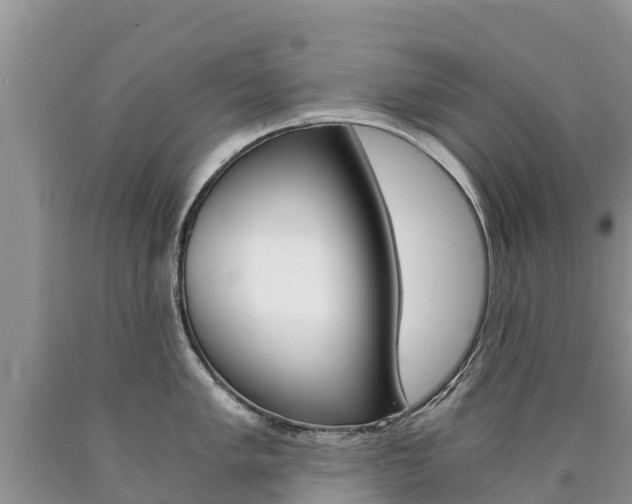 X0000090781005200707201131