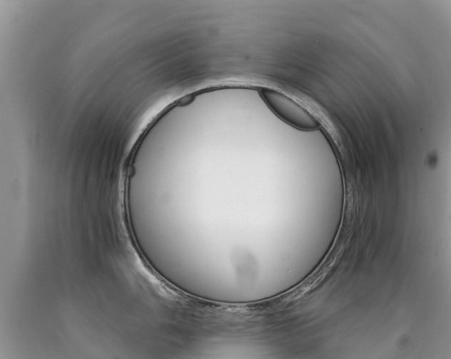 X0000090781006200707201131