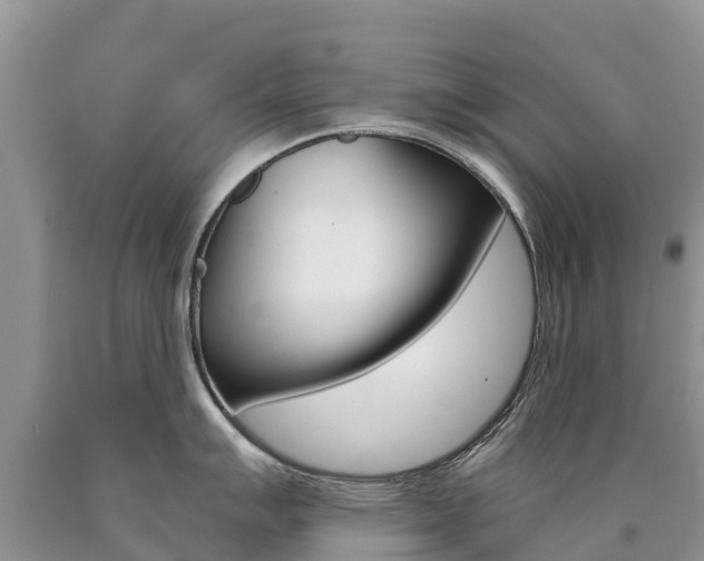 X0000090781007200707201131