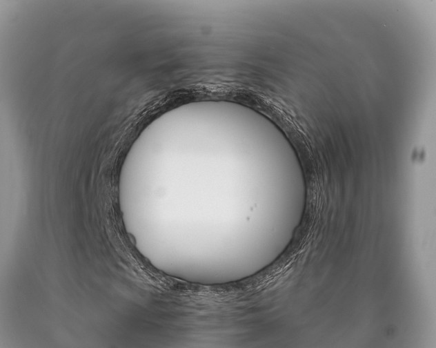 X0000090781009200707201130