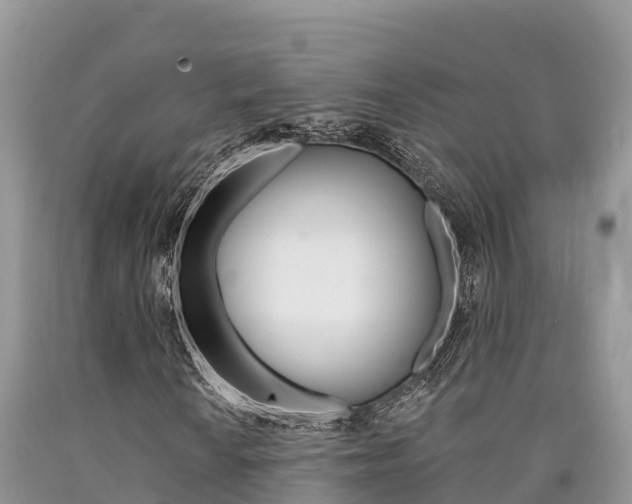 X0000090781010200707201130