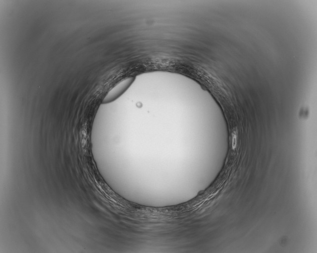X0000090781011200707201130