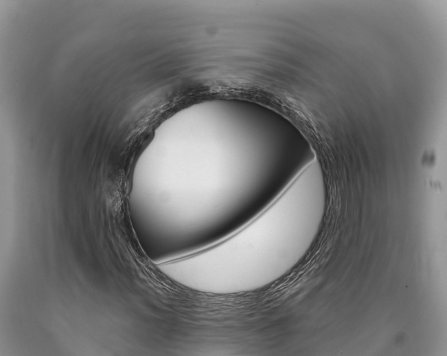 X0000090781012200707201130