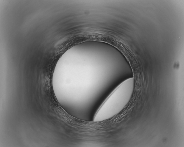 X0000090781013200707201130