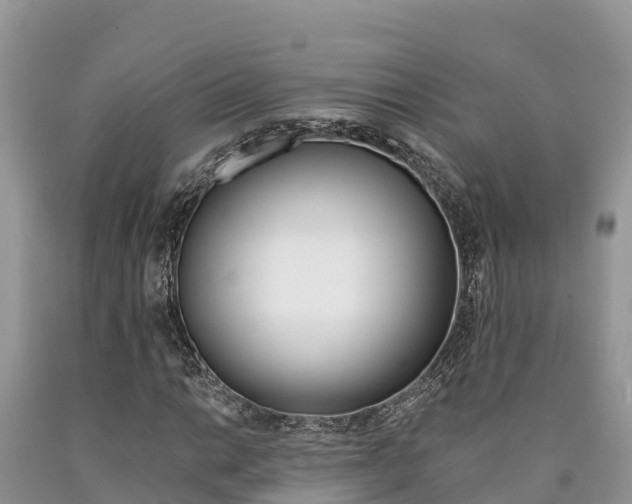 X0000090781014200707201130