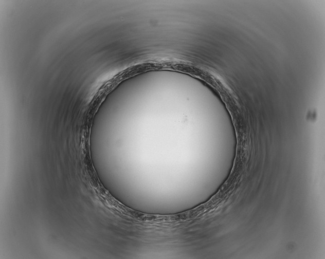 X0000090781016200707201130