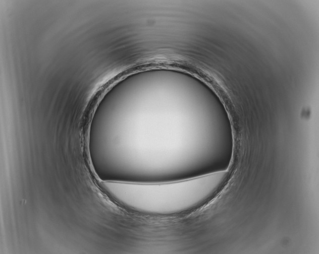 X0000090781018200707201130