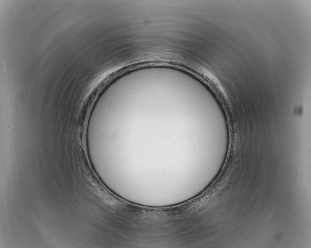 X0000090781019200707201130
