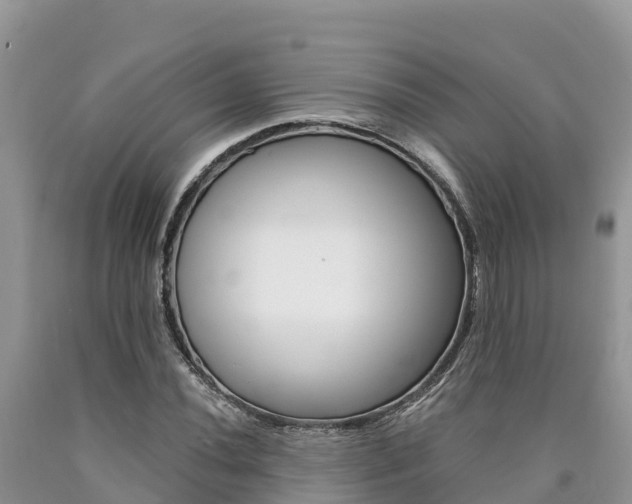 X0000090781020200707201130