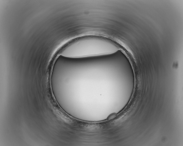 X0000090781021200707201130