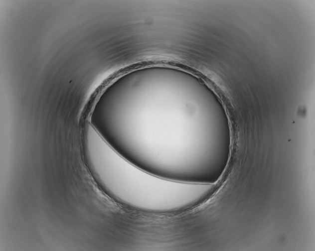 X0000090781022200707201130