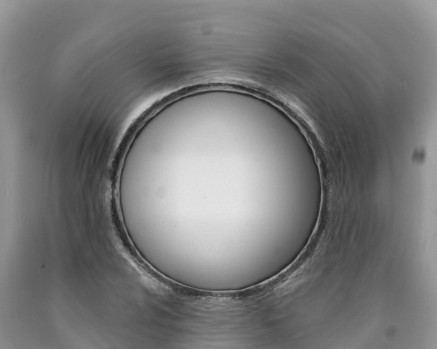 X0000090781024200707201130