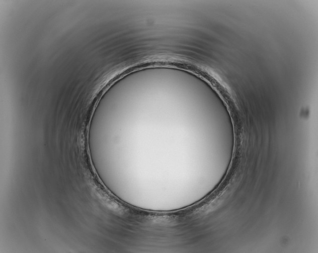 X0000090781025200707201130