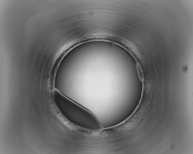 X0000090781026200707201130