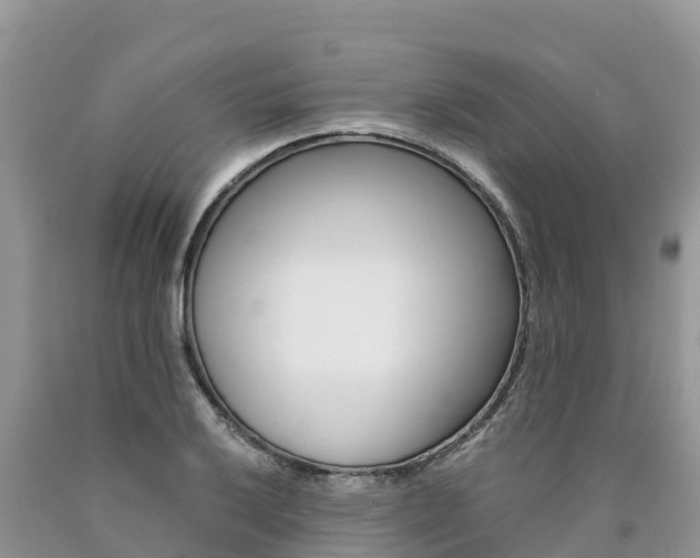 X0000090781032200707201131